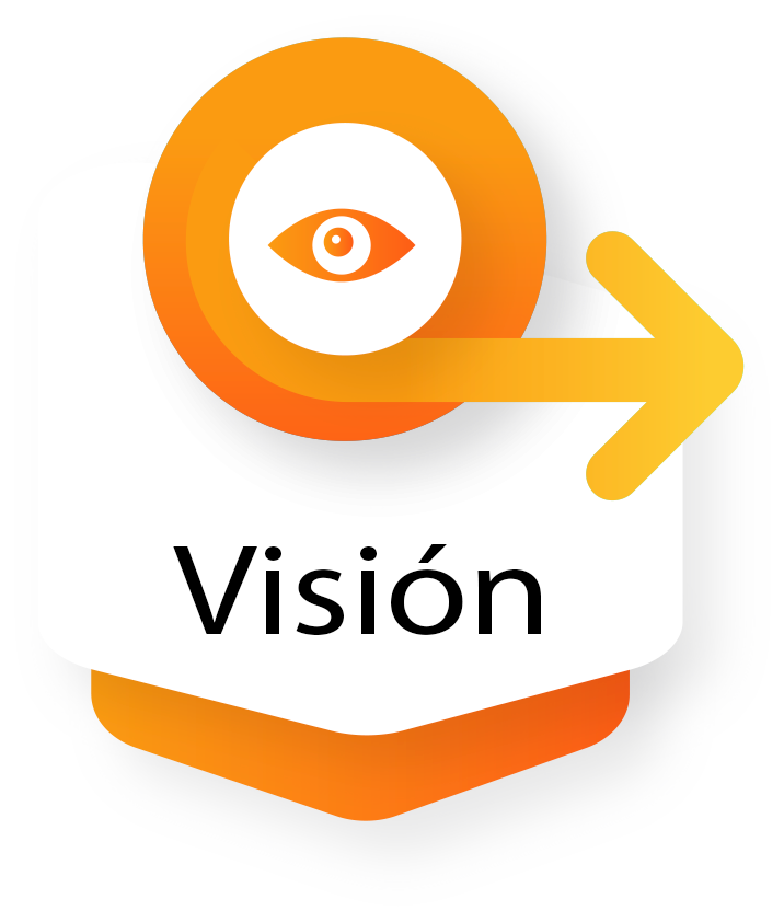 VISION