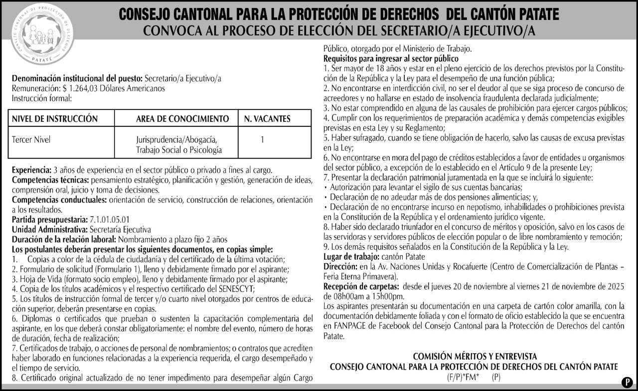 ELECCION SECRETARIO/A EJECUTIVO/A  CONSEJO CANTONAL DE PROTECCION DE DERECHOS